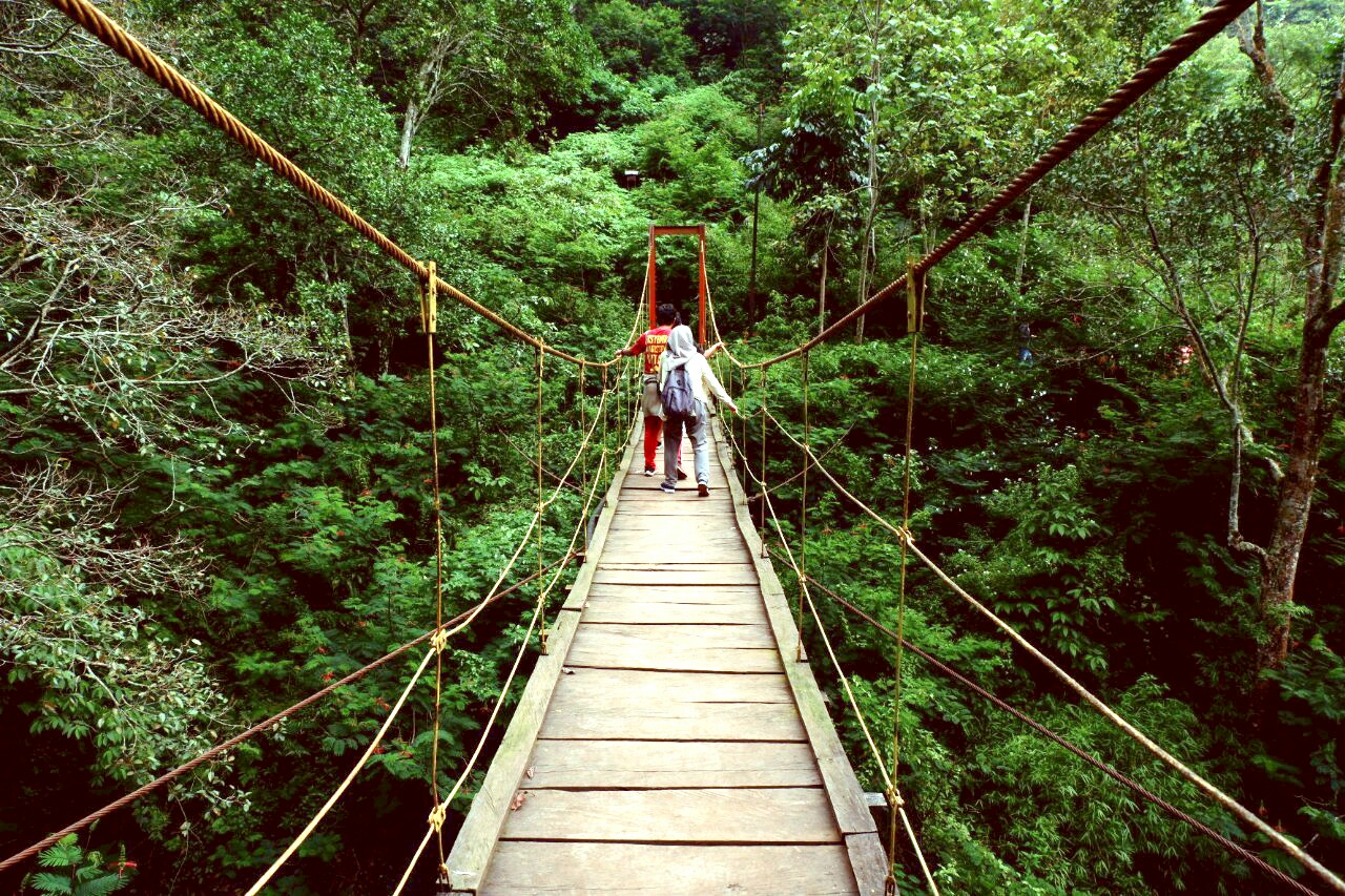 Taman Hutan Raya Ir. H. Djuanda